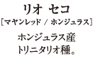 リオ セコ[マヤンレッド/ホンジュラス]ホンジュラス産トリニタリオ種
