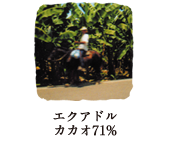 エクアドル カカオ71%