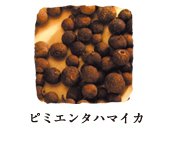 ピミエンタ ハマイカ