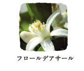 フロール デ アサール