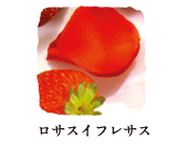ロサスイフレサス