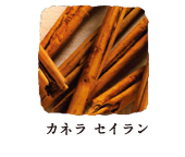 カネラ セイラン