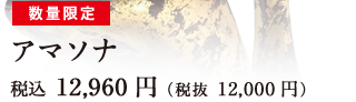 数量限定 アマソナ 税込 12,960円（税抜 12,000円）